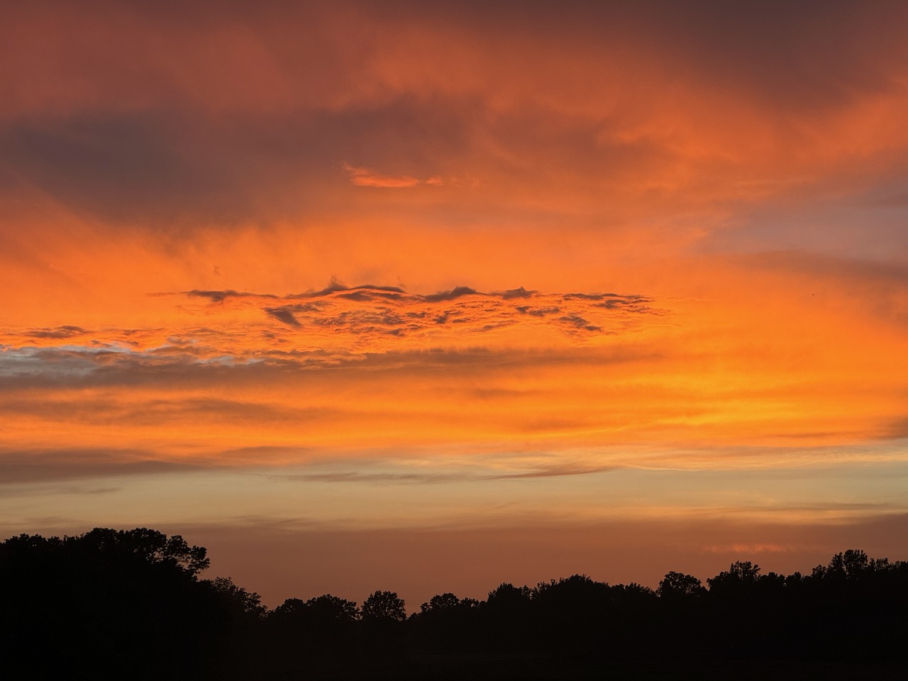 Summer Sunset